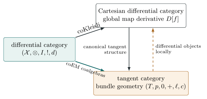 Differential and tangent structures answer different questions. The two routes from a differential category expose global differentiation of maps and geometric infinitesimal variation, respectively. Arrows summarize constructions and require the hypotheses stated in the text…
