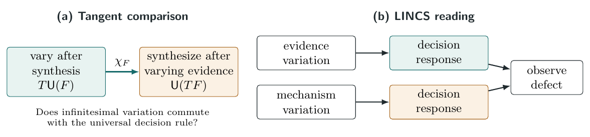 A tangent lift asks whether two routes to first-order decision change agree. LINCS keeps evidence variation distinct from variation of the action mechanism, constructs the comparison \(\chi _F\), and lets an observer measure its defect. The comparison is universal; causal meaning…
