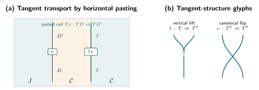 Tangent structure in the 2-categorical graphical language. The lift introduces another tangent level; the flip exchanges two tangent directions. The glyphs follow the calculus of Cockett and Cruttwell [ 2015 ]